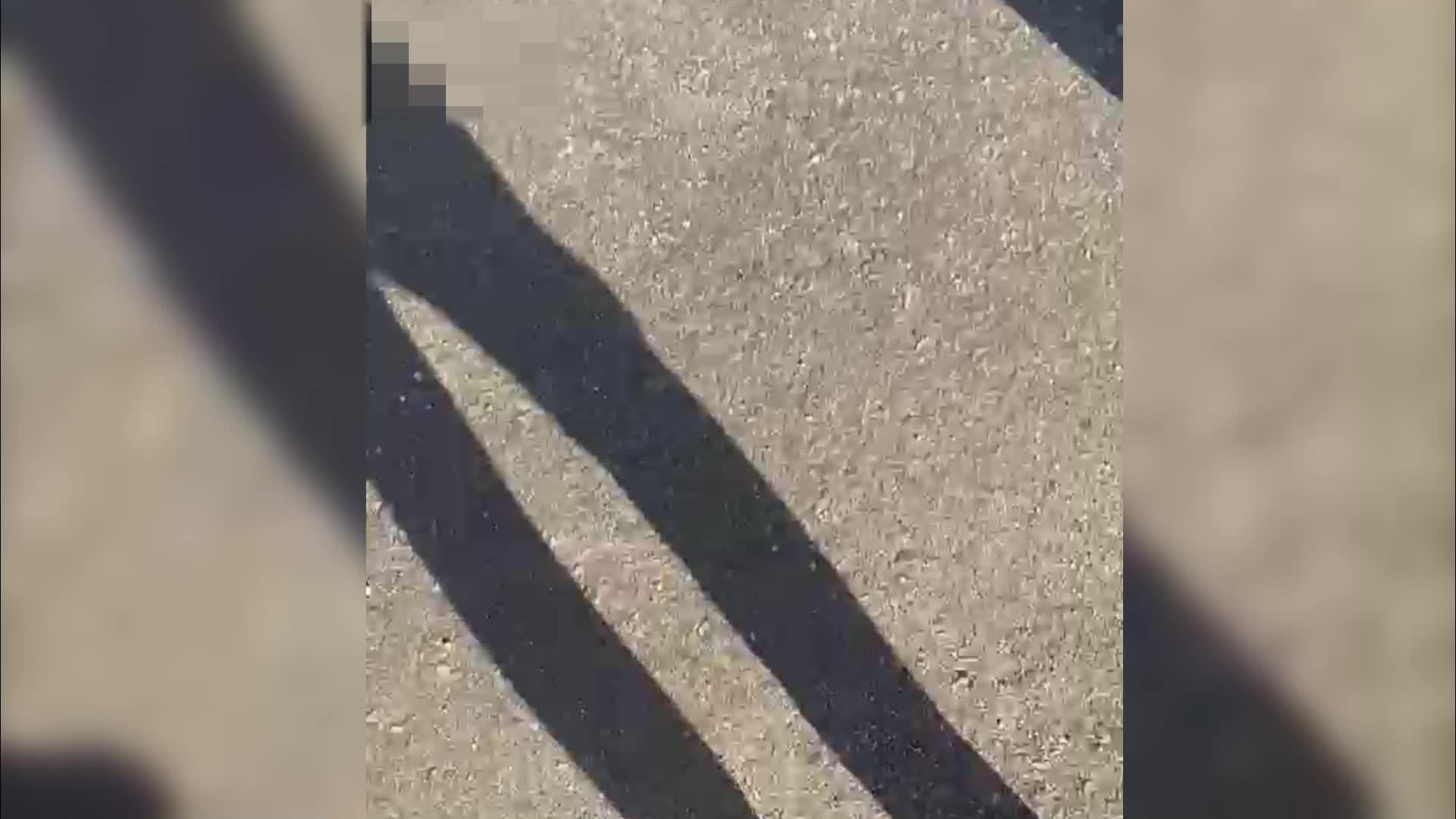 Malatya’da eski eşinin av tüfeğiyle vurduğu kadın hayatını kaybetti
