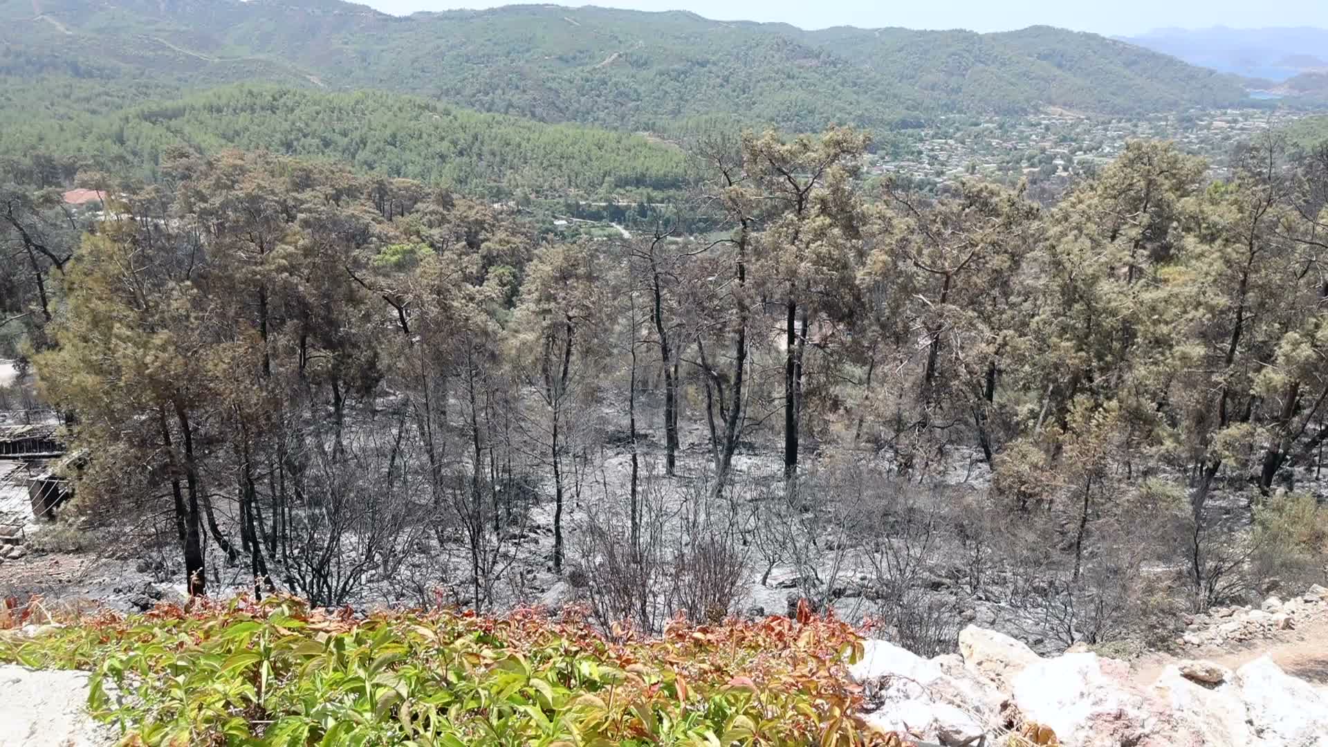 Muğla Büyükşehir Belediyesi'nden yangından etkilenen alanlarda hasar tespit çalışması