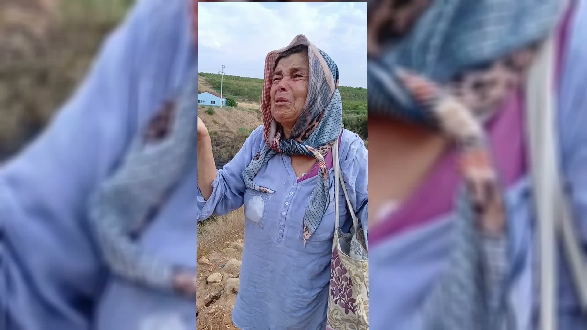 Aydın Karacasu'da zeytin ağaçları yanan kadın gözyaşlarını tutamadı