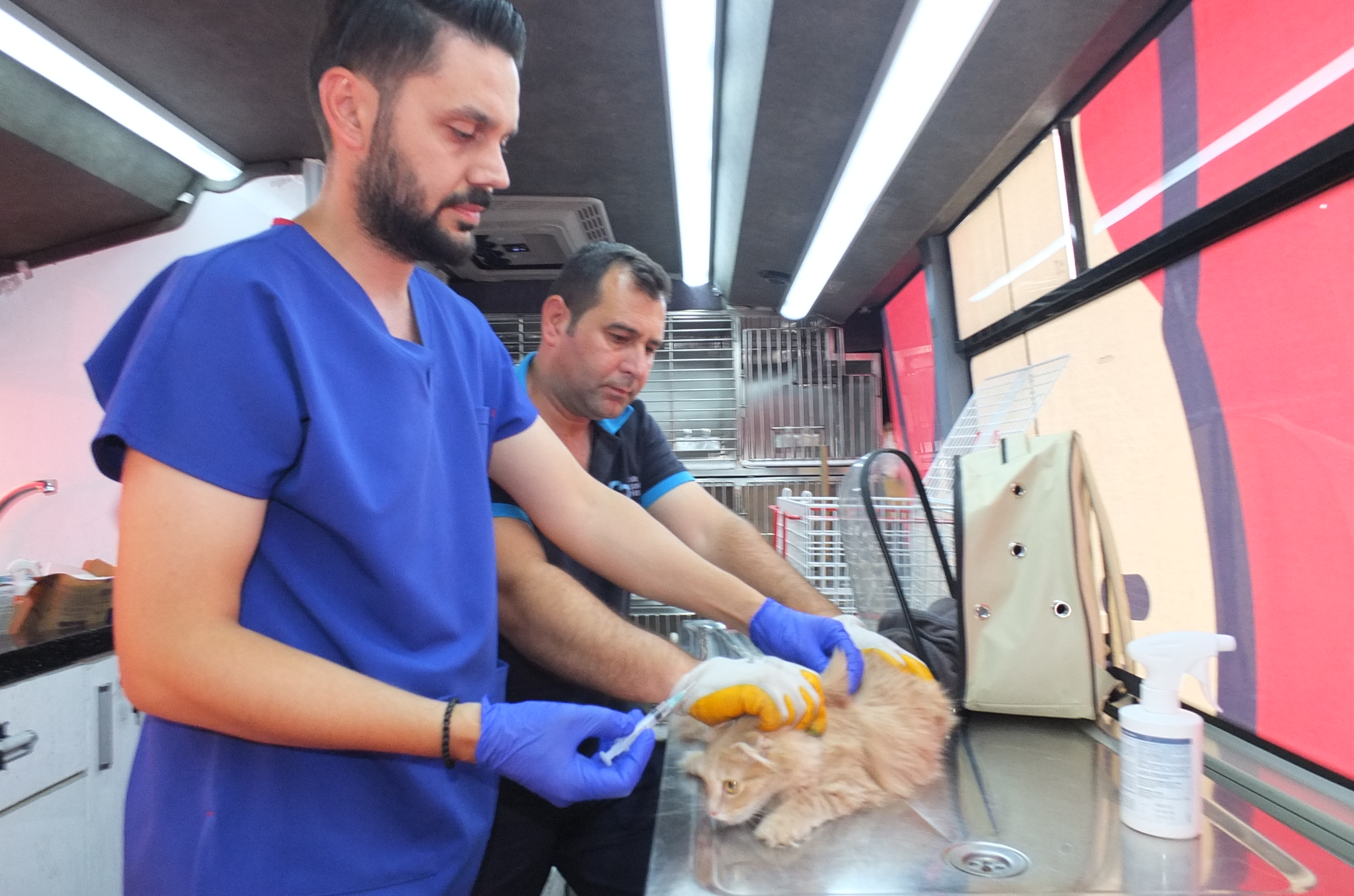 Balıkesir de “Can Dost” 18 bin sokak hayvanına sağlık hizmeti verdi