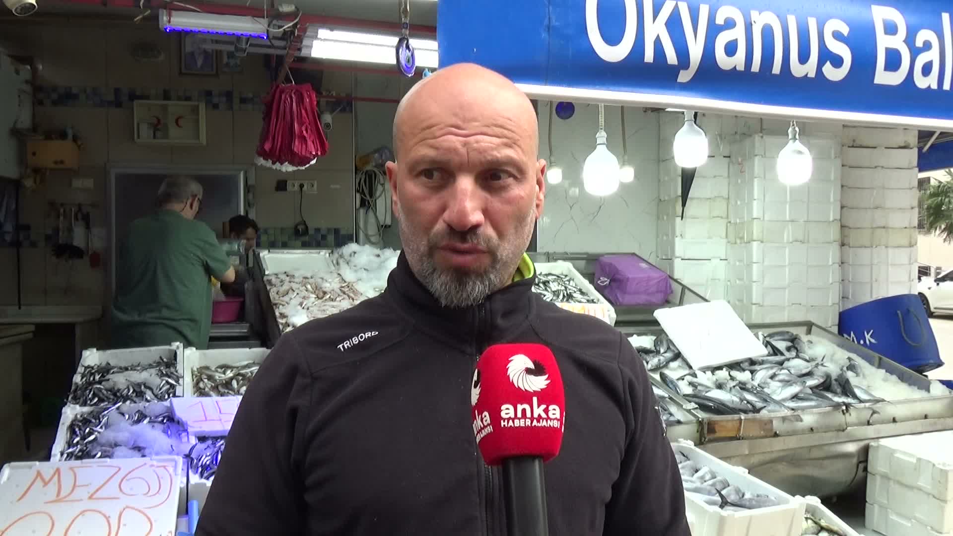 Palamut bol ama masraflar ağır