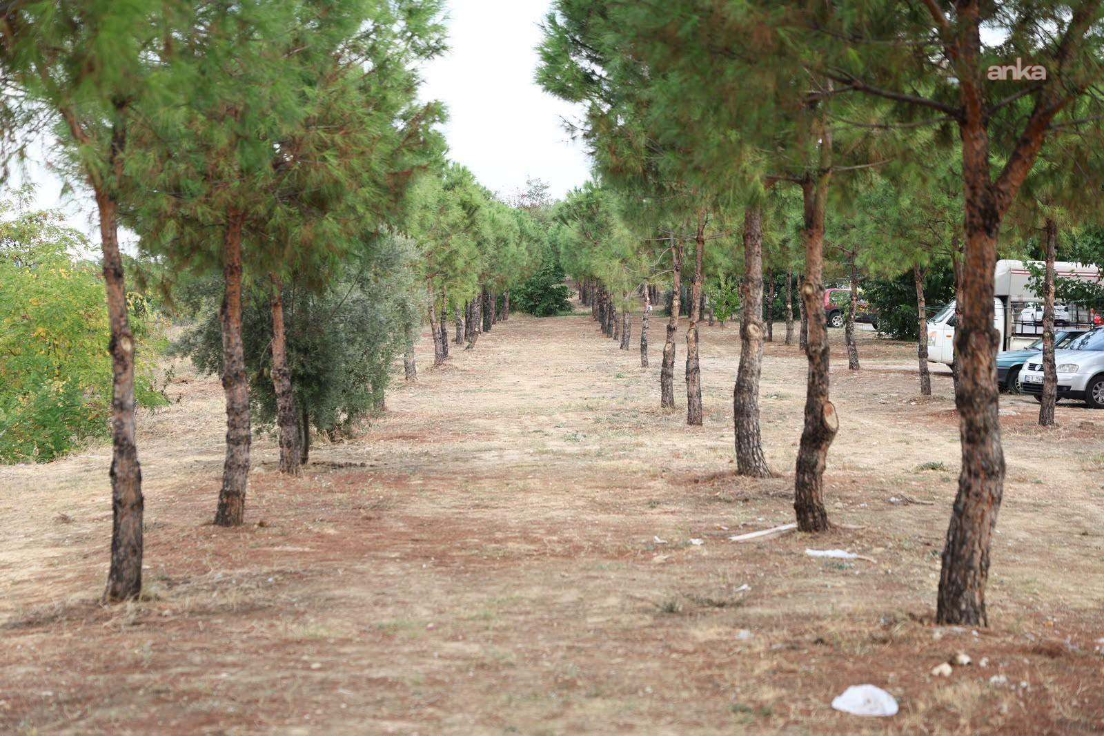 Merkezefendi Belediyesi, Şemikler Mahallesi'ne yürüyüş parkı kazandıracak