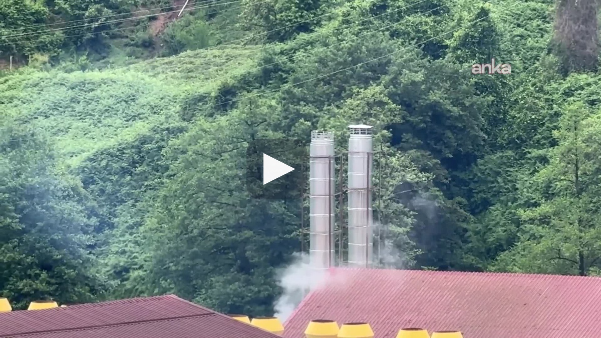 Ardeşen'de mahalleliden çay fabrikasına kirlilik tepkisi