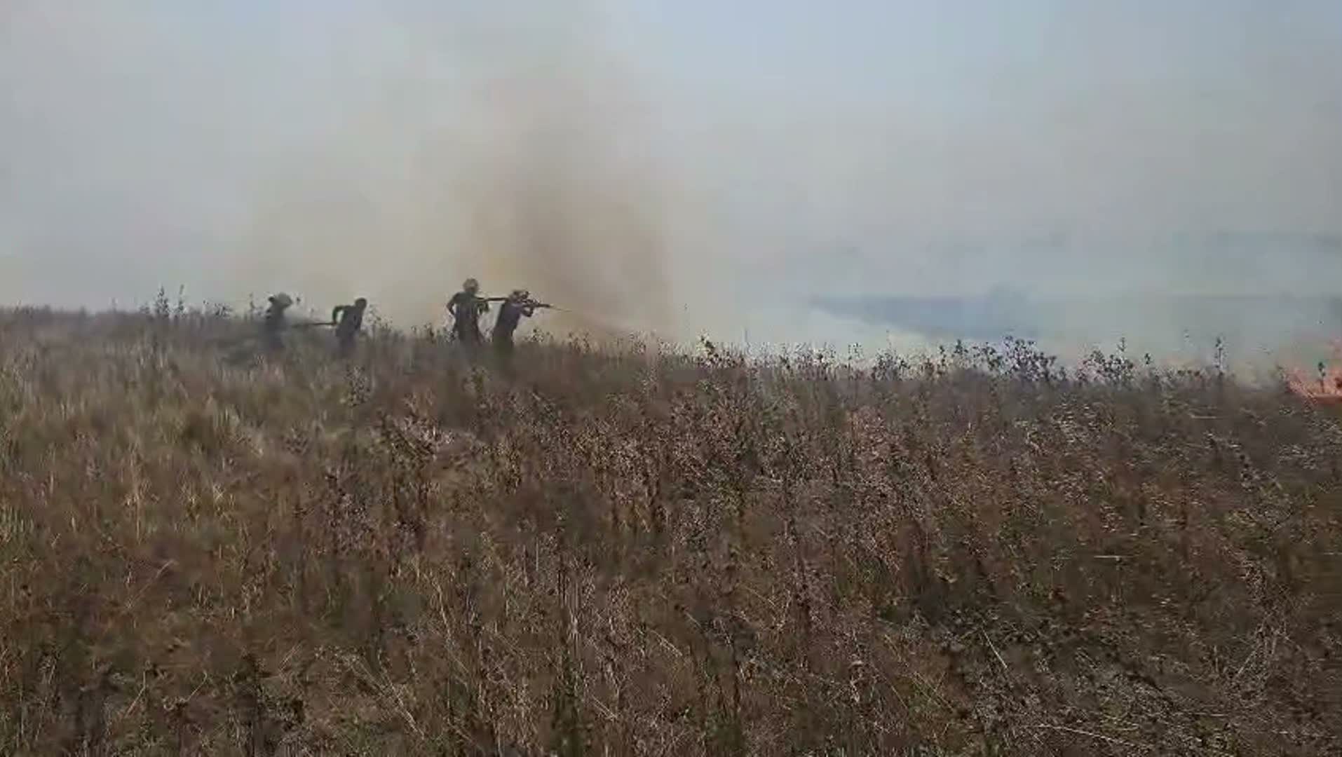 Silivri otluk alan yangını... Güvercinler böyle kurtarıldı