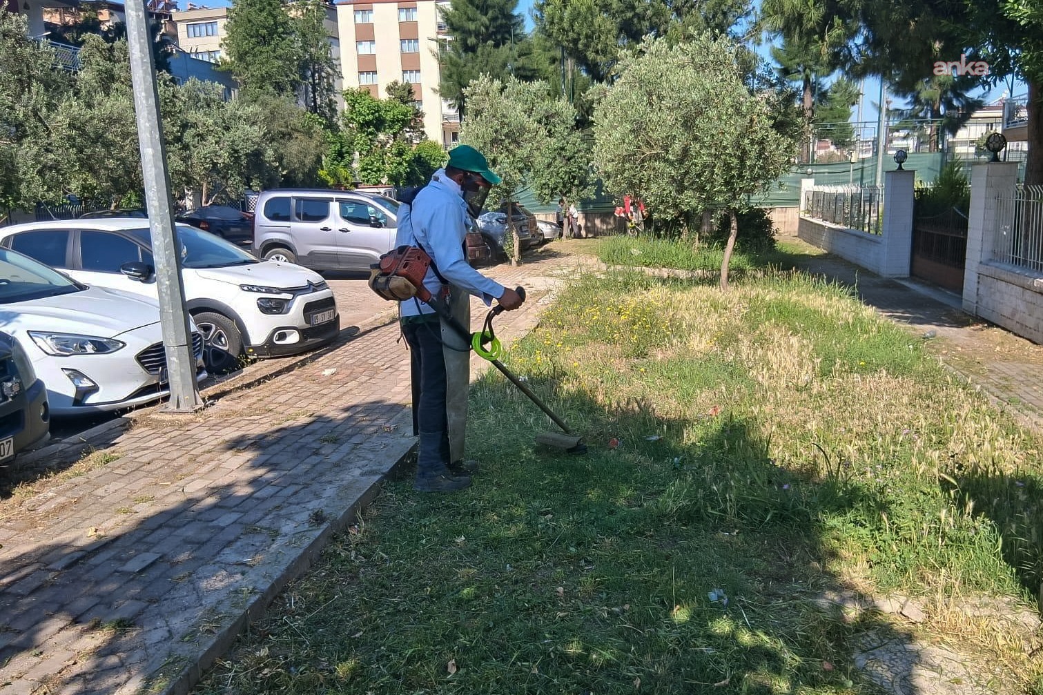 Efeler’in yeşil alanlarında yaz temizliği