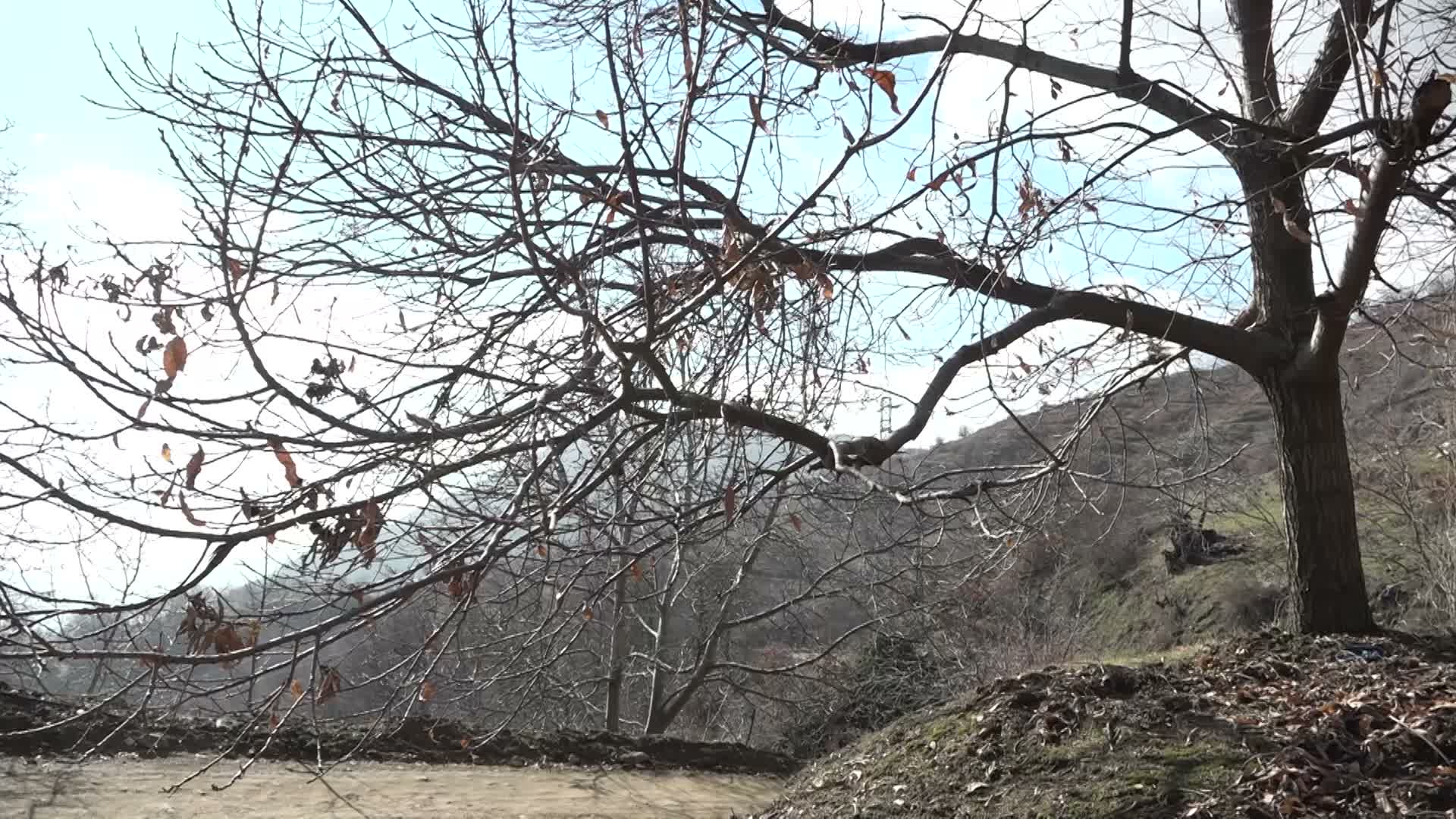İzmir Büyükşehir’den çiftçiye sonbahar destekleri