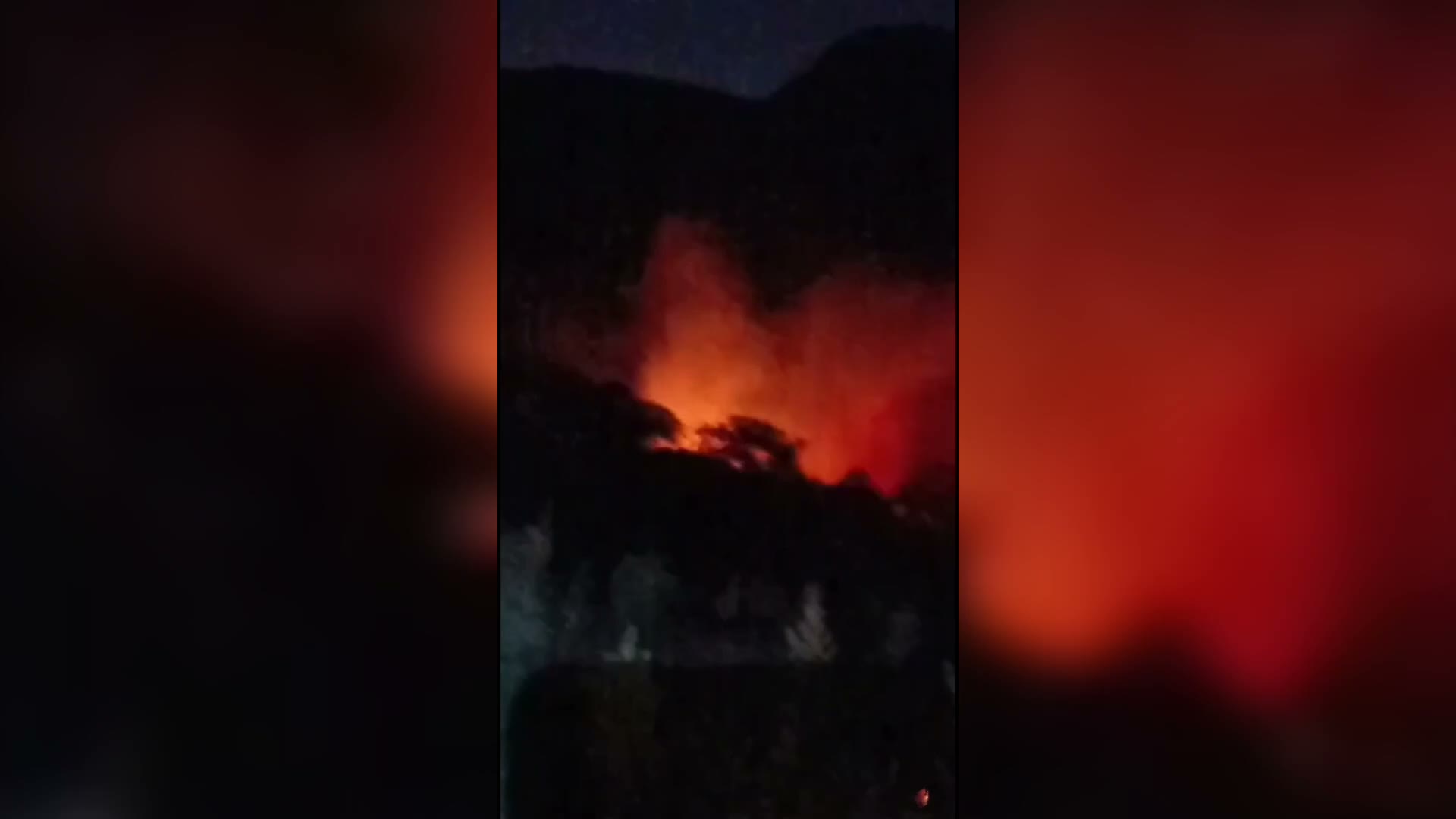 Karacasu'daki yangında 20 dönüm orman alanı küle döndü
