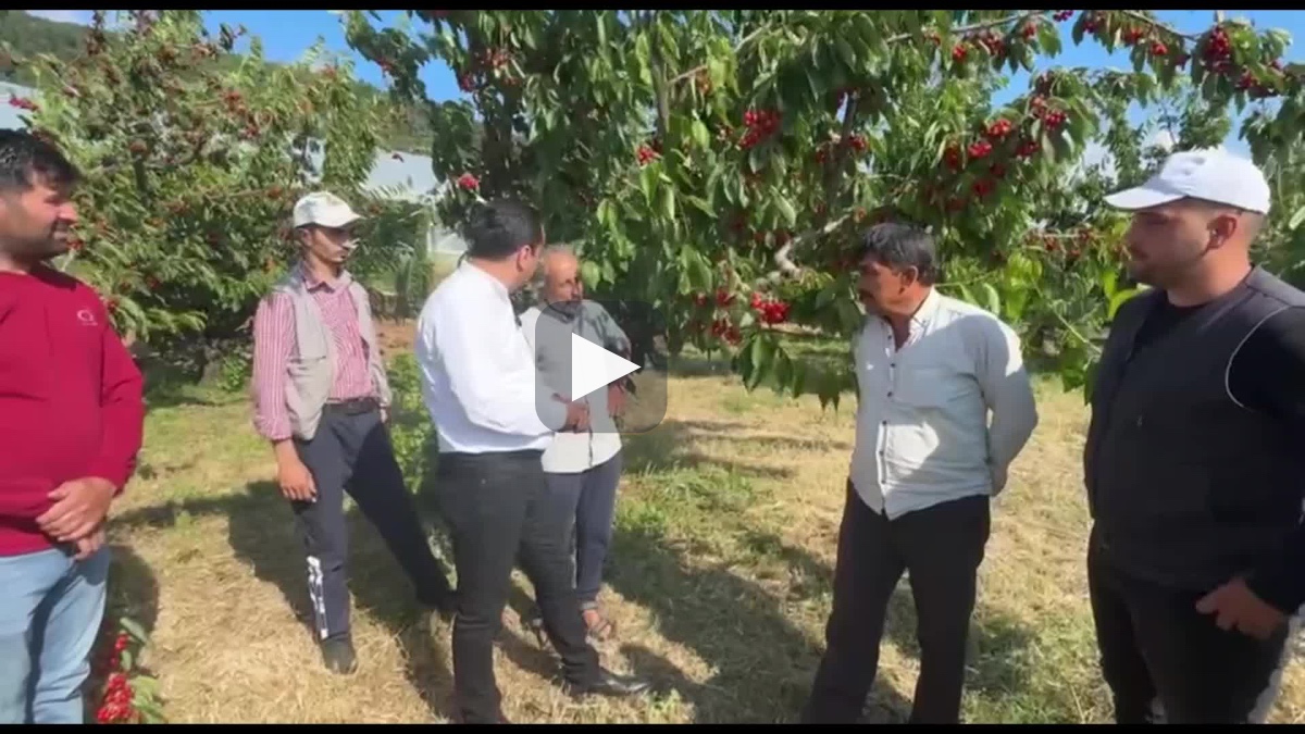 “En son iyi para kazandığımda sakallarım siyahtı"