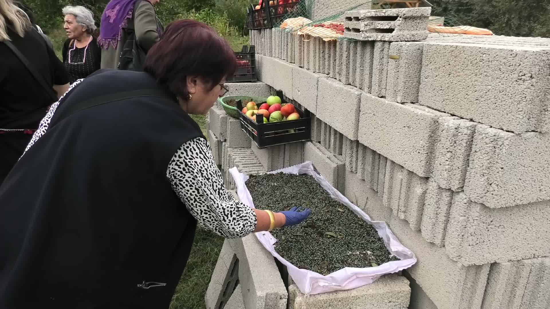 Sıcak bölgelerin meyvesi Menengiç Yozgat'ta da doğal olarak yetişiyor