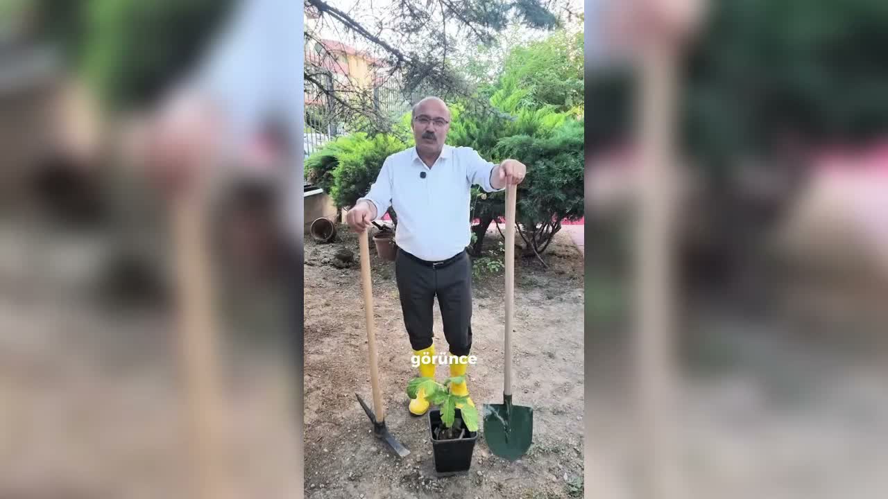 İYİ Partili Ulusoy'dan Bakan Yumaklı'ya videolu ağaç dikme eleştirisi