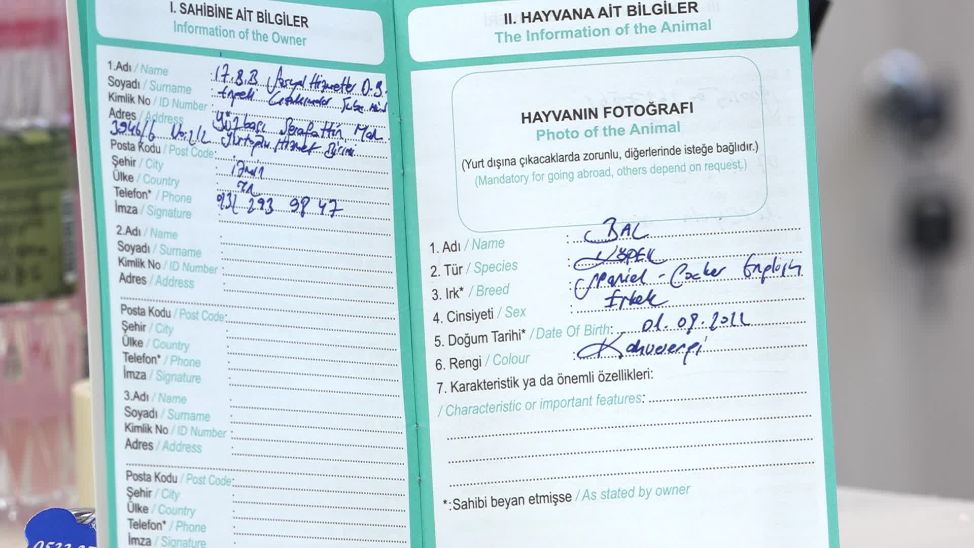 Patili dost Bal, merkezin neşesi oldu