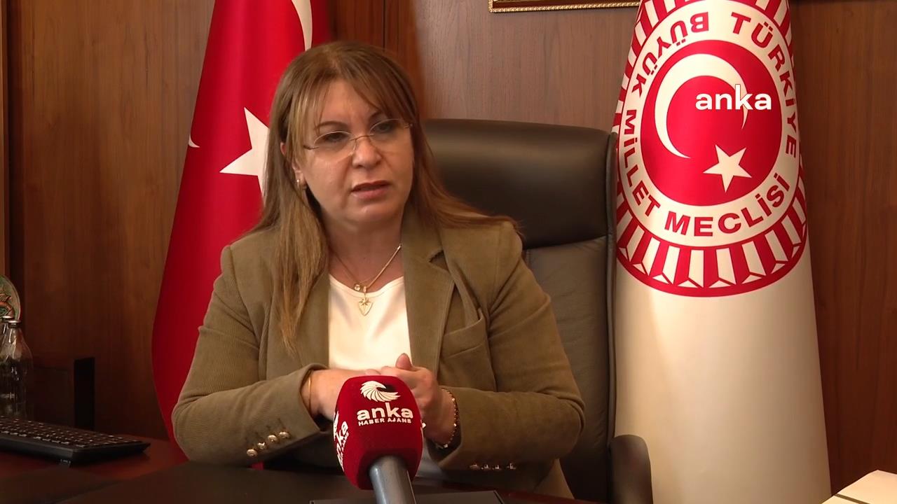 CHP'li Karaca: Gençler yalnızca işsizlik değil yoksulluk, borçluluk ve gelecek kaygısıyla karşı karşıya
