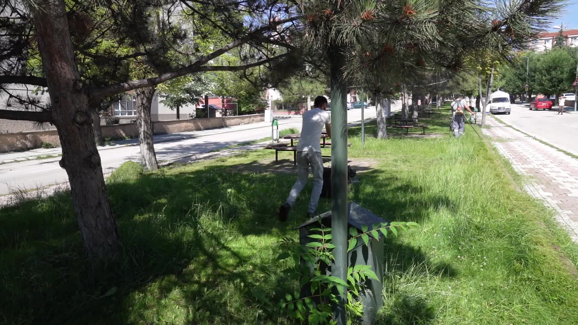 Tepebaşı’nın park ve yeşil alanlarında çim biçme çalışmaları sürüyor