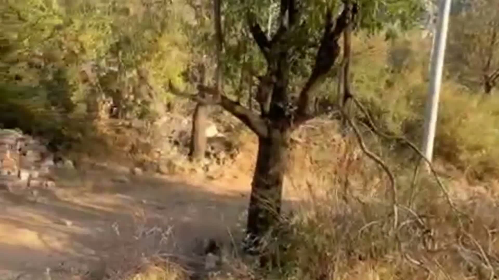 Selimiye’de tarihi kalenin bulunduğu alana tonlarca moloz döküldü