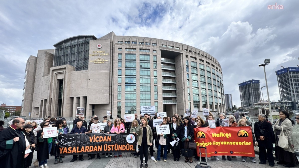 Hayvan hakları savunucularından “Susma, korkma, koru ve yaşat” çağrısı