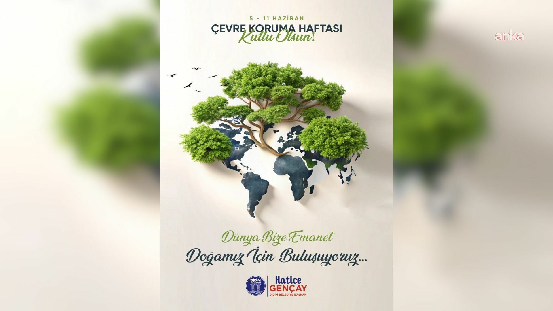 Didim'de Çevre Koruma Haftası'na özel etkinlikler düzenlenecek