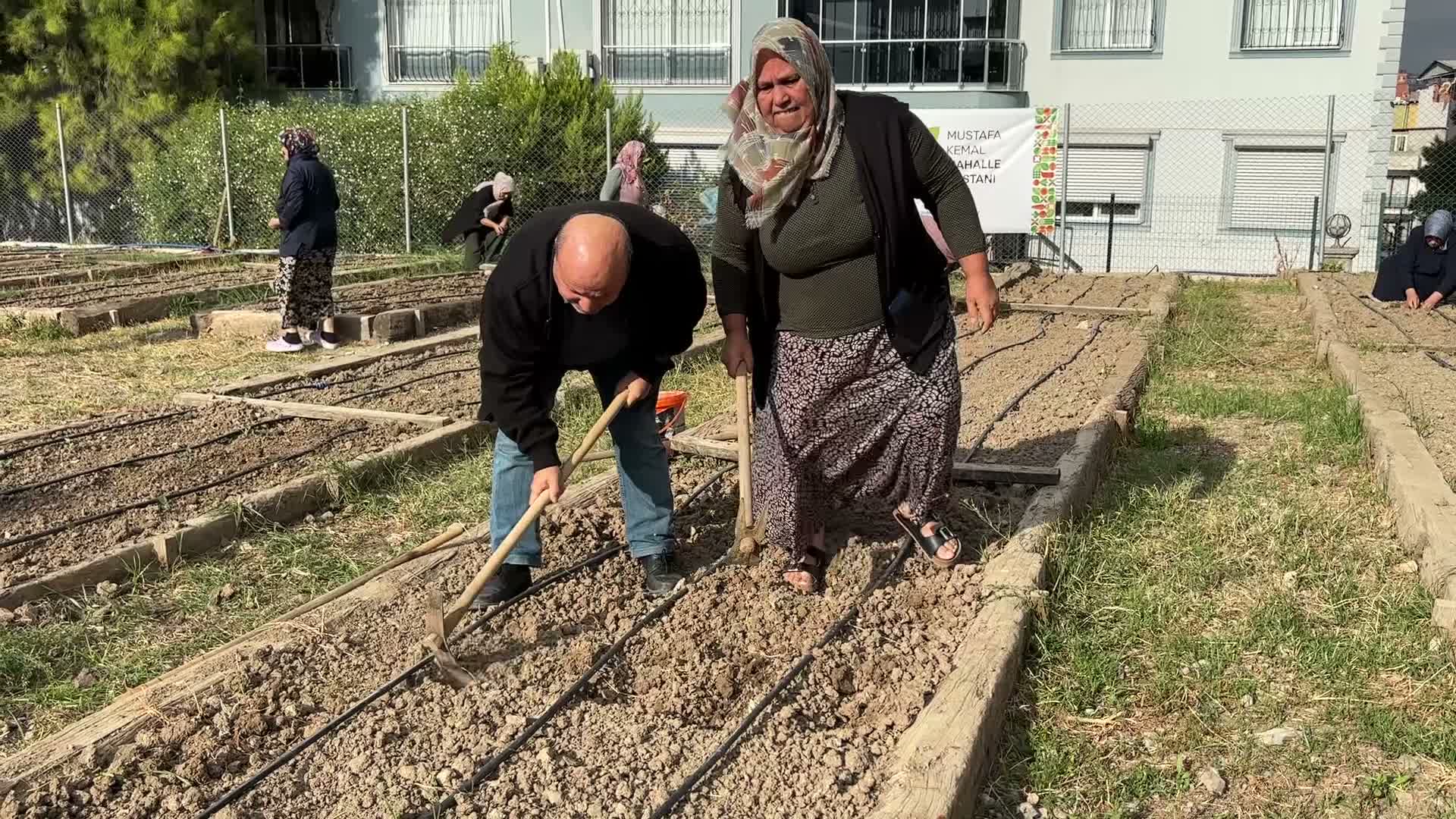 İzmir’in Mahalle Bostanlarında kış mesaisi: 276 kadın üretimde
