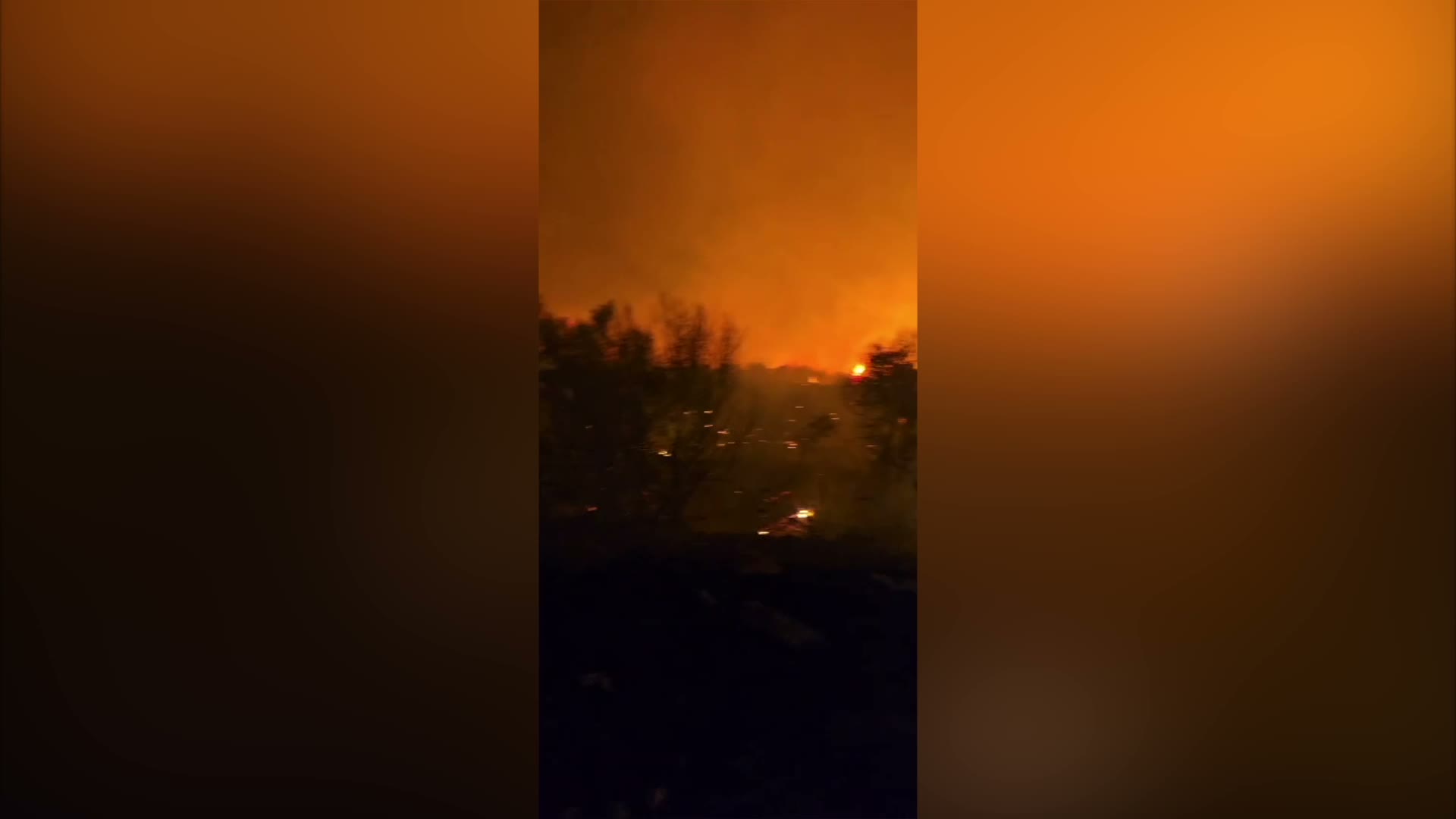 İzmir'in Dikili ilçesinde çıkan yangına müdahale sürüyor