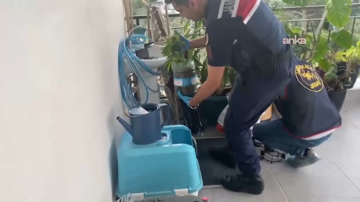 5 ilde yapılan uyuşturucu operasyonunda 341 şüpheli yakalandı