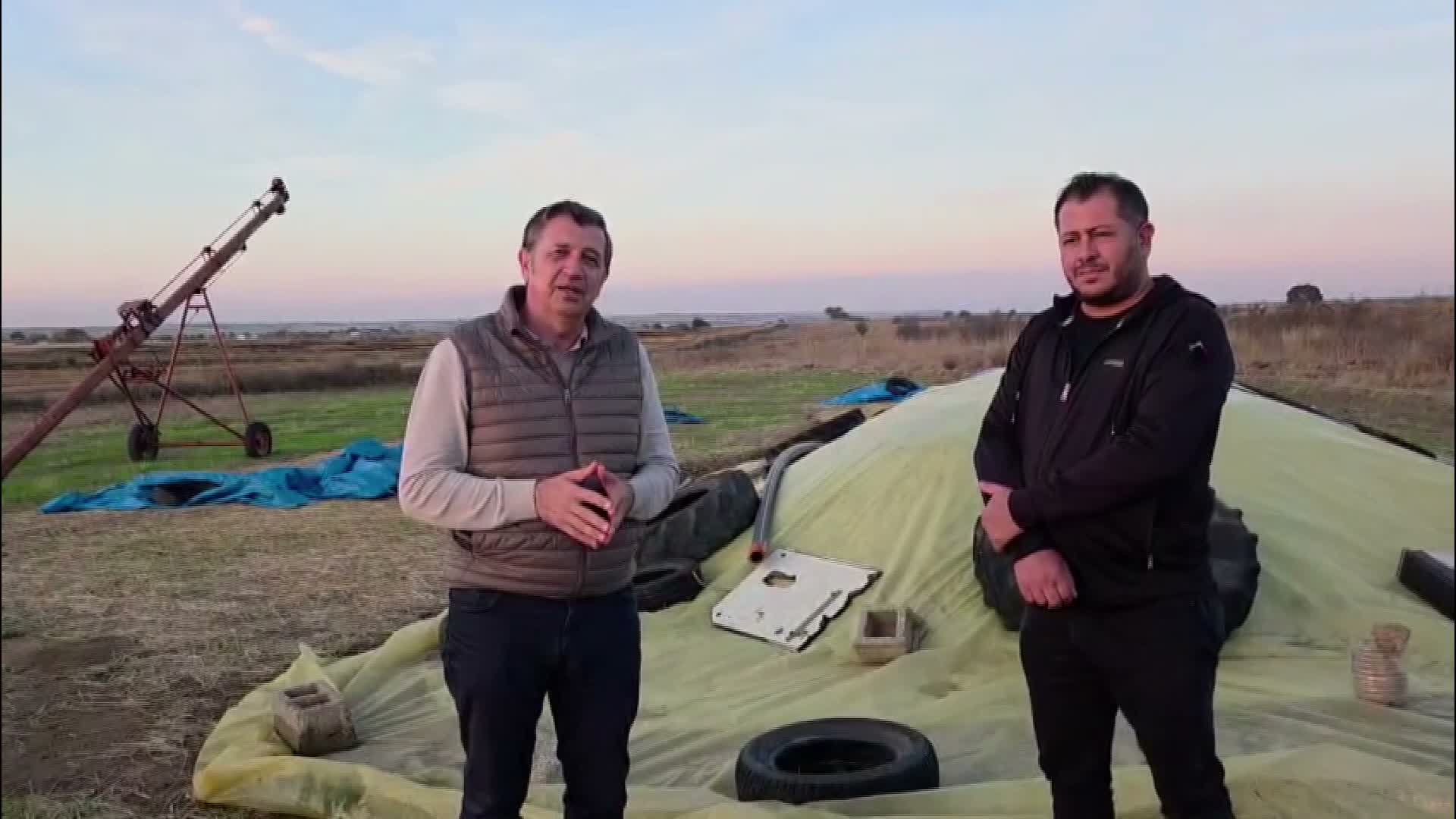 Edirneli çeltik üreticisi: “Ekimden vazgeçmezsek batacağız”