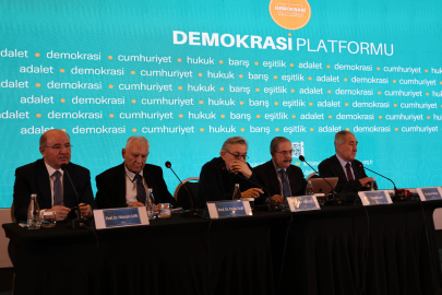 Demokrasi Platformu: "Medya kuruluşlarının bağımsız yayıncılık faaliyetlerini engelleyen kayyım uygulamalarına son verilmeli"