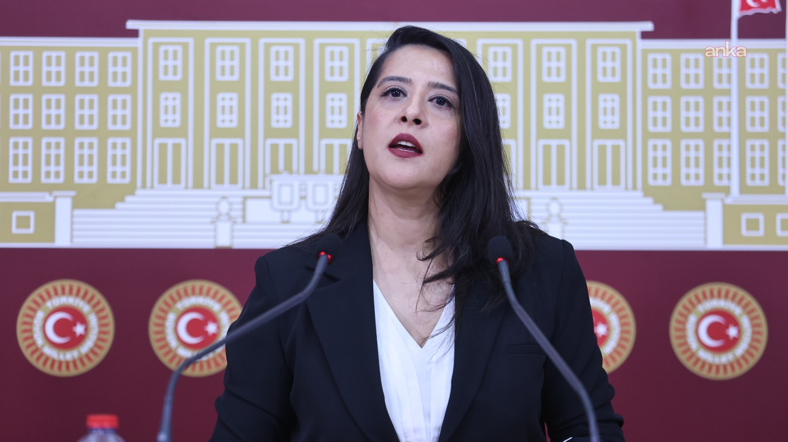 EMEP’li Karaca, Diyarbakır’daki GES projelerini TBMM gündemine taşıdı