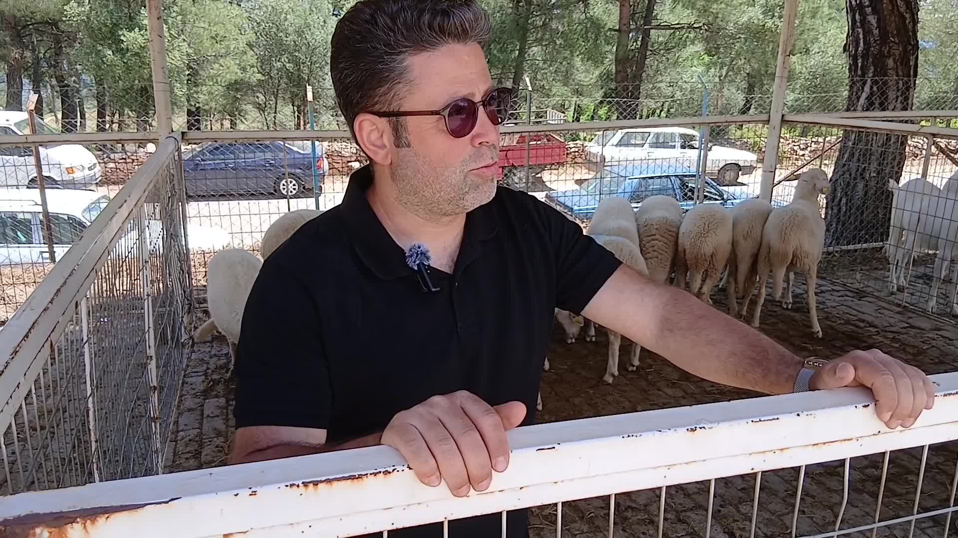 Aydın İli Damızlık Koyun ve Keçi Yetiştiricileri Birliği Başkanı Demir: "Yem ve mazotta hükümetten destek istiyoruz"