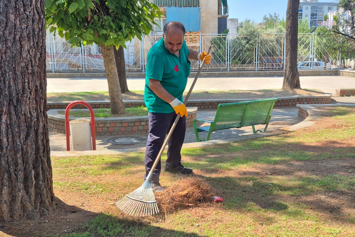 Efeler Belediyesi’nden parklarda bakım ve budama çalışması