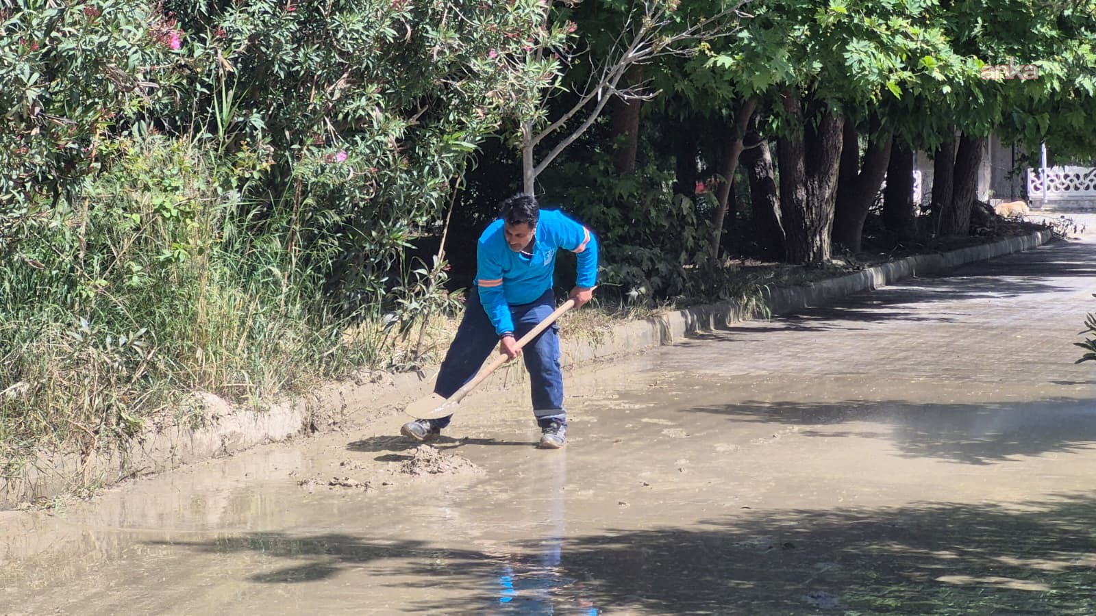 Kuşadası'nda Kurban Bayramı öncesi temizlik çalışmaları yoğunlaştı