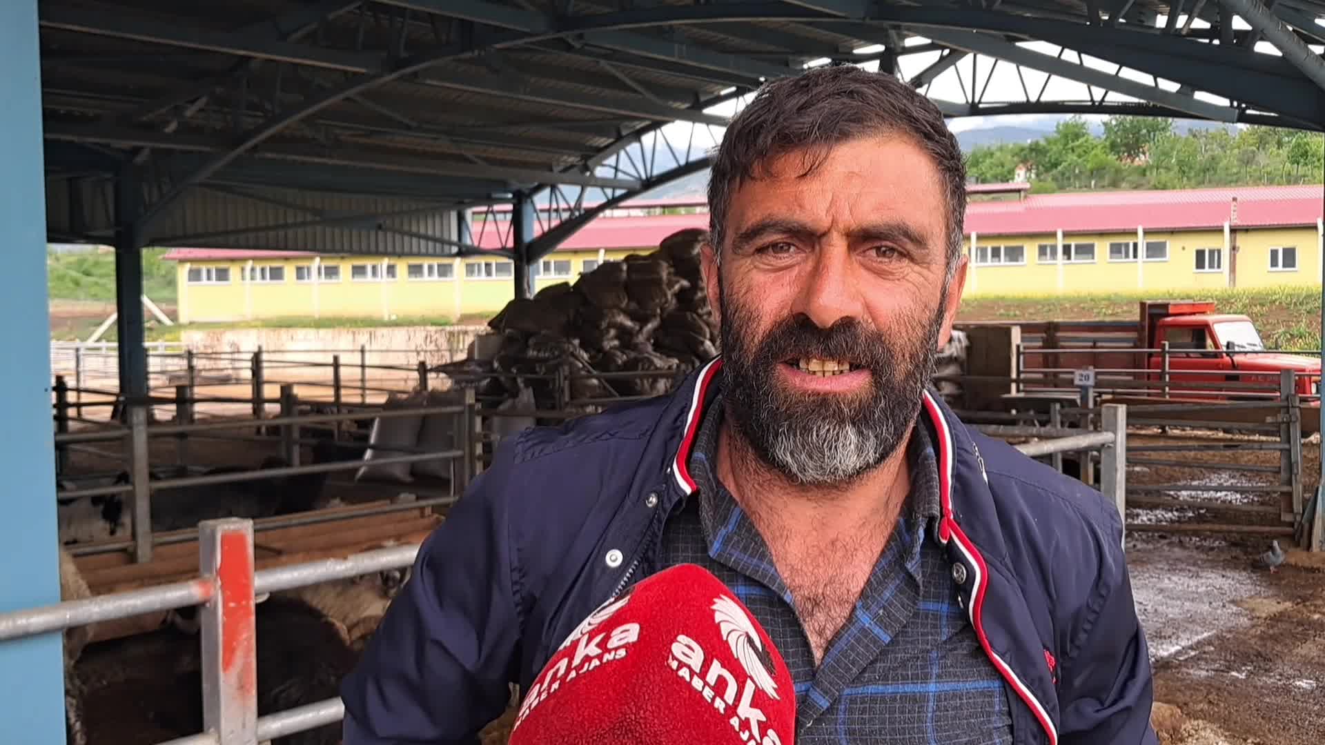 Ardanuç hayvan pazarında satış yok
