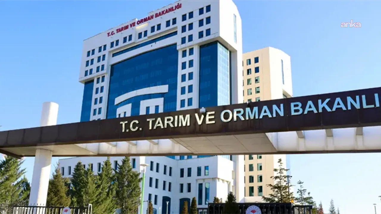 Sayıştay'ın raporuna göre, TÜRKVET'te milyonlarca hayvanın aşı kaydı bulunamadı
