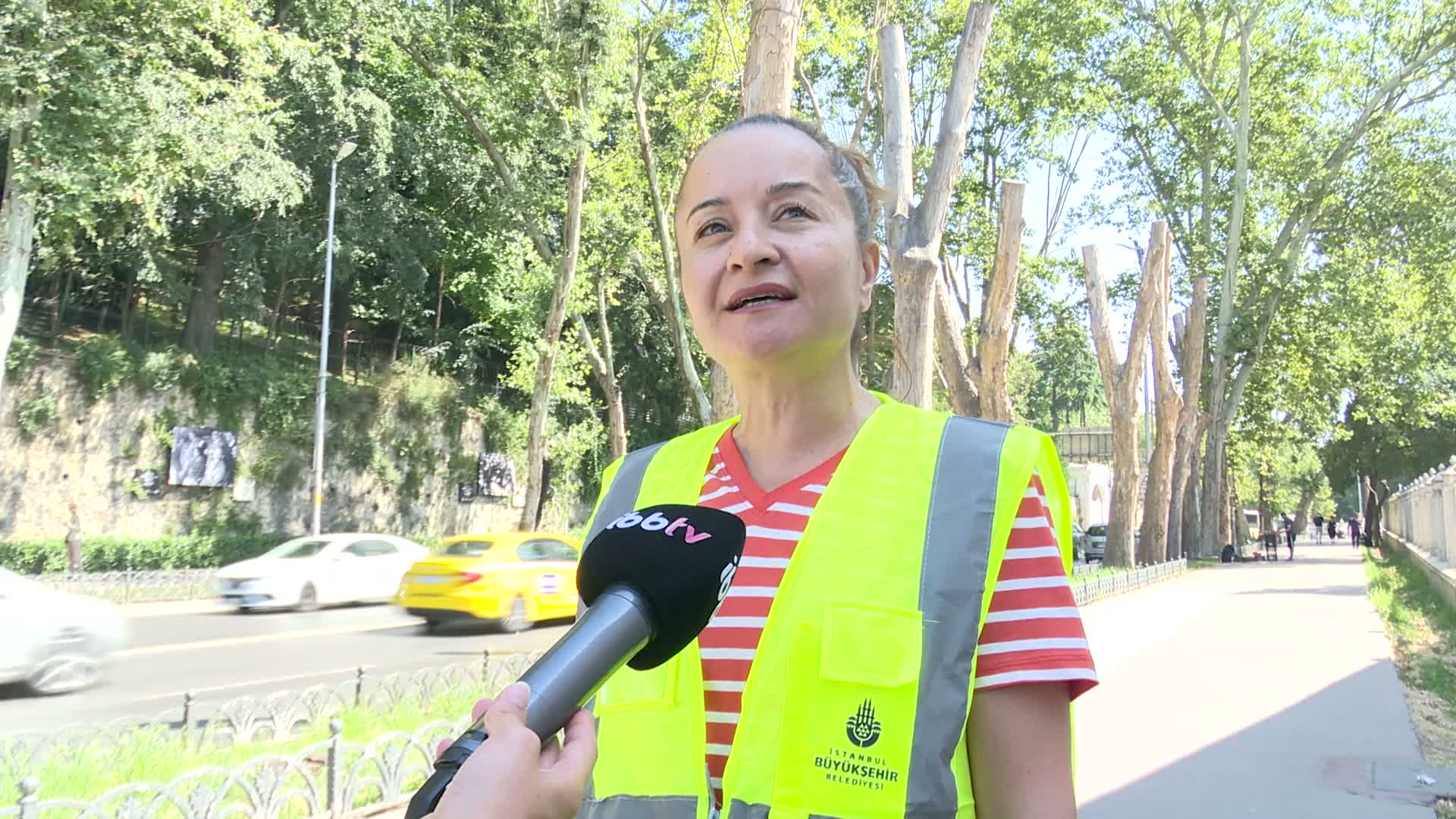 İBB'den Dolmabahçe ve Çırağan'daki tarihi çınarlarla ilgili açıklama: "Çınar kanserine karşı bilimsel mücadele 2012'den beri yürütülüyor"