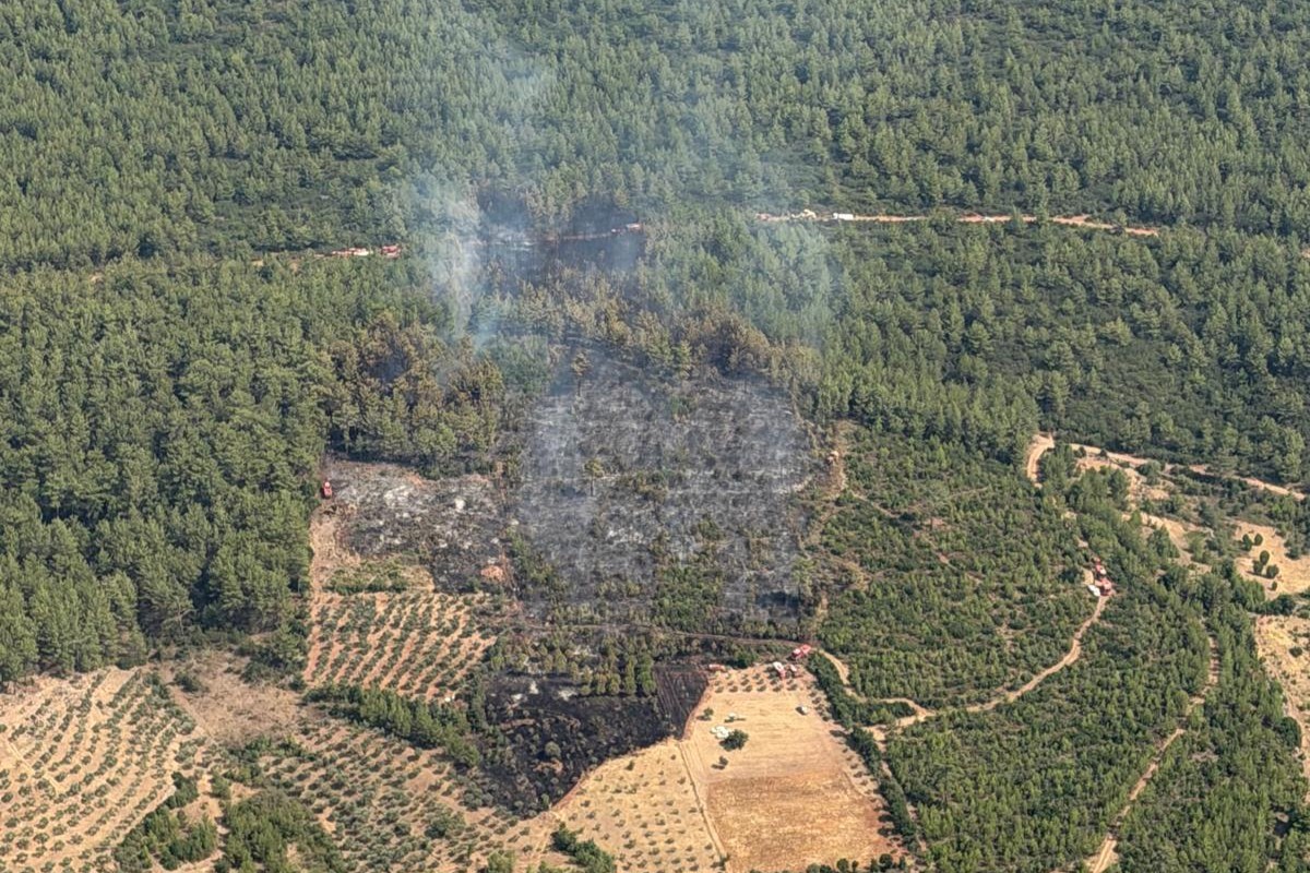 Muğla’daki orman yangını kontrol altına alındı, 2 hektar alan zarar gördü