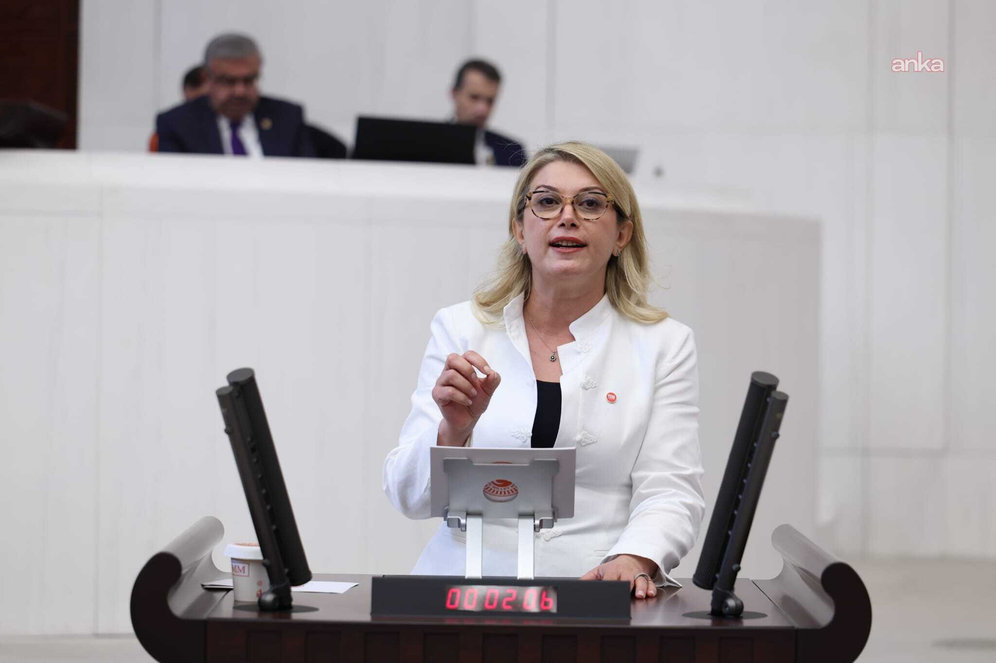 Asu Kaya: “Kırsalda çalışan kadının sigortasını ödeyeceğiz, köylere kreş açacağız”