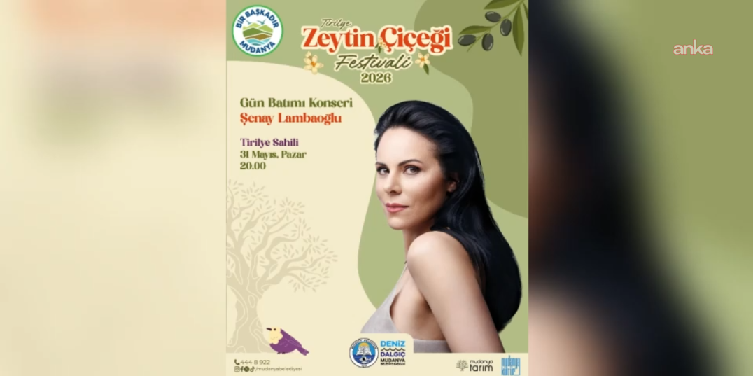 Mudanya'da Tirilye Zeytin Çiçeği Festivali başlıyor