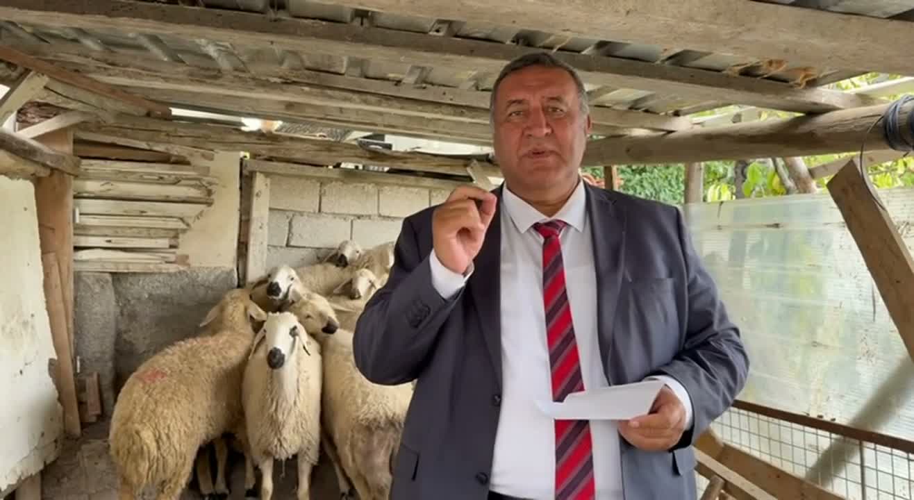 Ömer Fethi Gürer: Kırmızı et üretimi yarım milyon ton düşerken, sütte kayıp 2,1 milyon tonu buldu