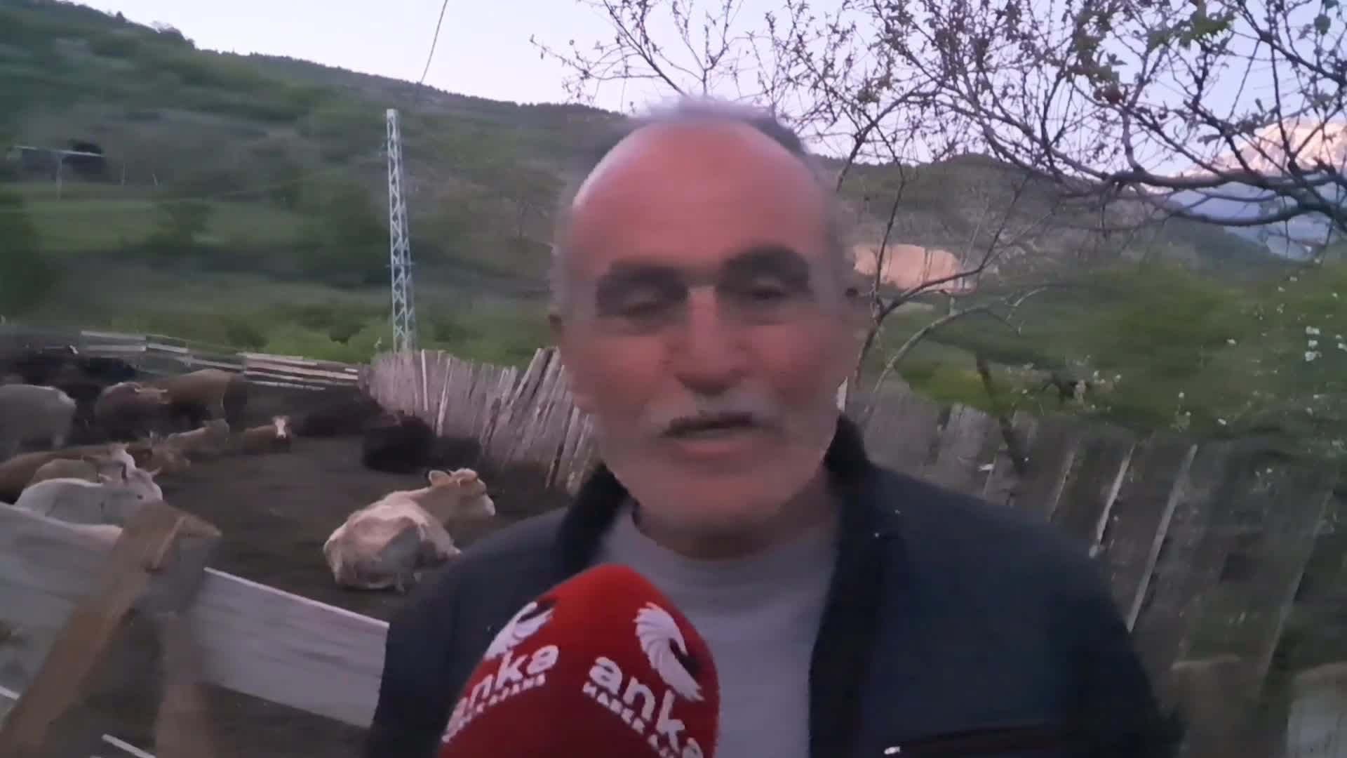Artvin’de hayvancılık alarm veriyor: "Çalışan değil, parasını bekleten kazanıyor"
