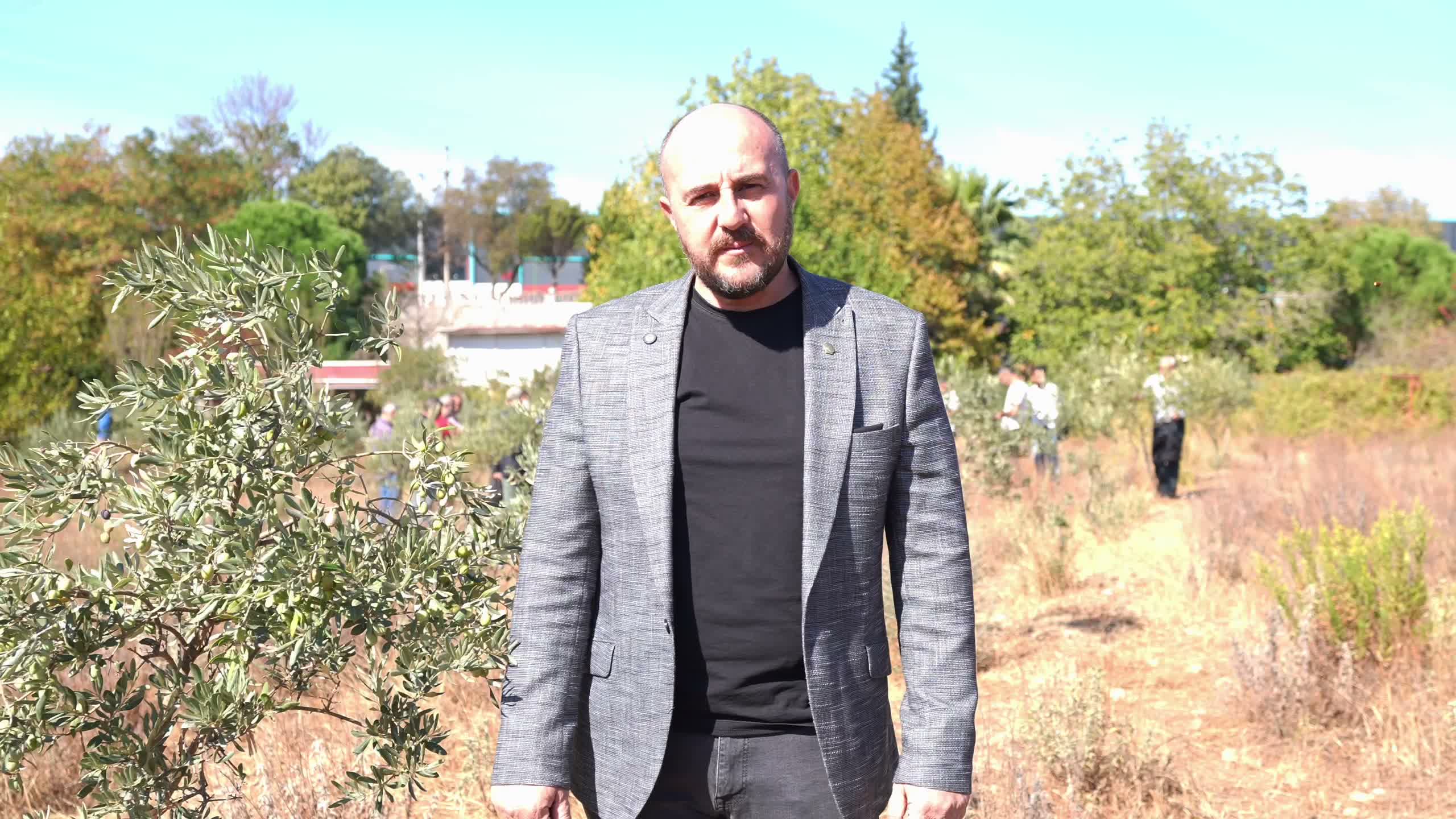 Buca’da "Sertifikalı Zeytin Budama Eğitimi" tamamlandı