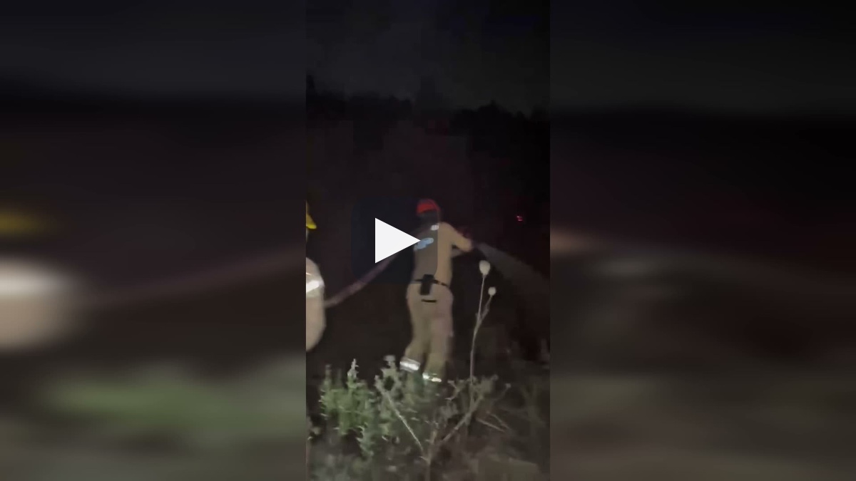 Bakan Yumaklı: 4 ilde orman yangınları büyük ölçüde kontrol altında, Alanya'da mücadele sürüyor