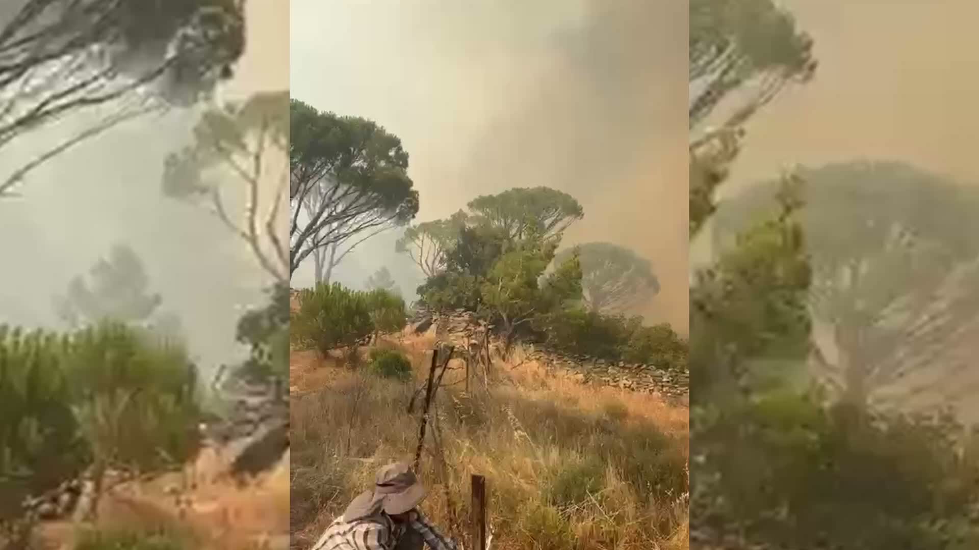 Muğla Kavaklıdere'de orman yangını
