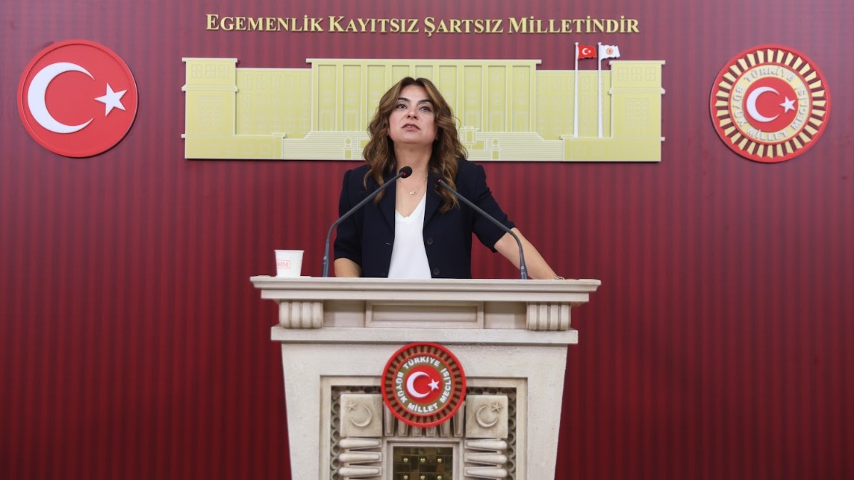 DEM Parti Grup Başkanvekili Koçyiğit "Süreçle ilgili çerçeve yasa taslağının bu hafta İmralı Heyeti'ne sunulmasını bekliyoruz"