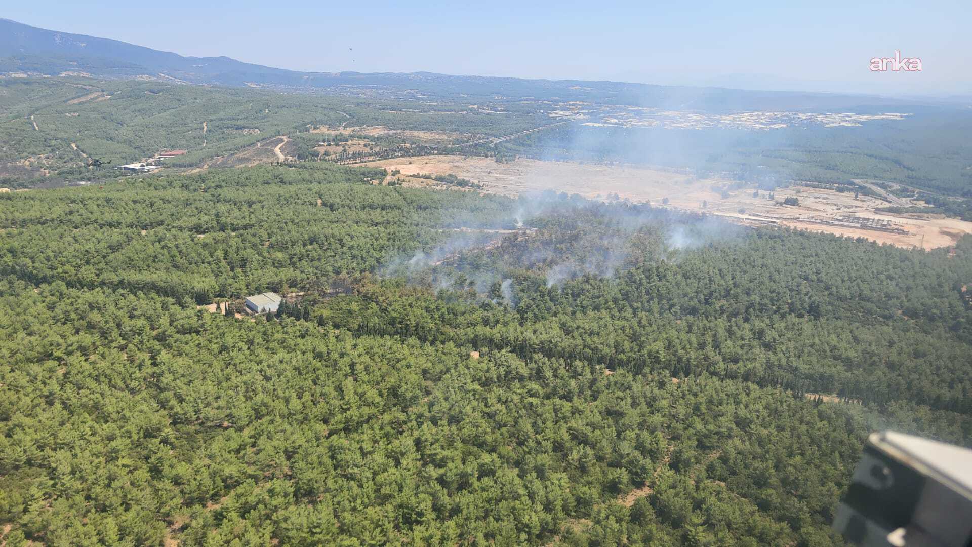 Buca’daki orman yangını kontrol altına alındı