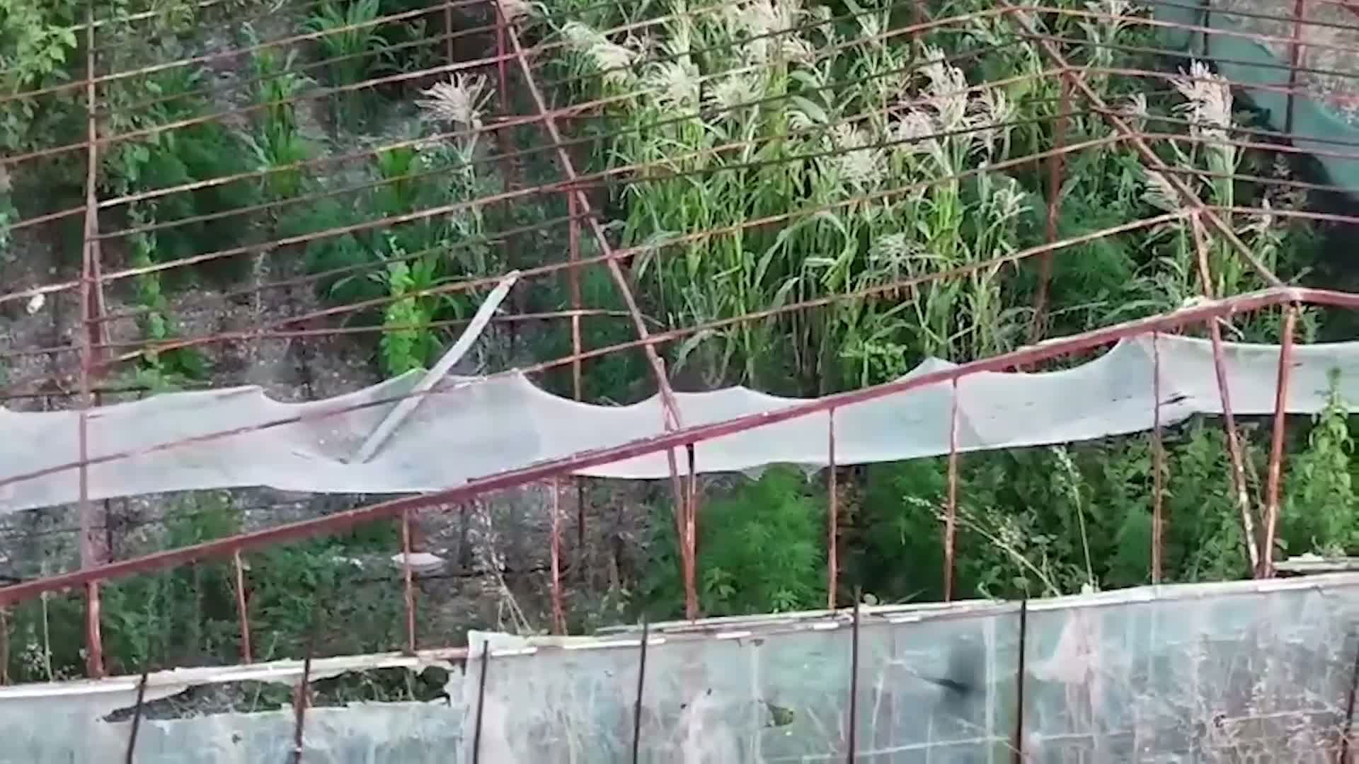 İzmir'de uyuşturucu operasyonu: 1 şüpheli tutuklandı