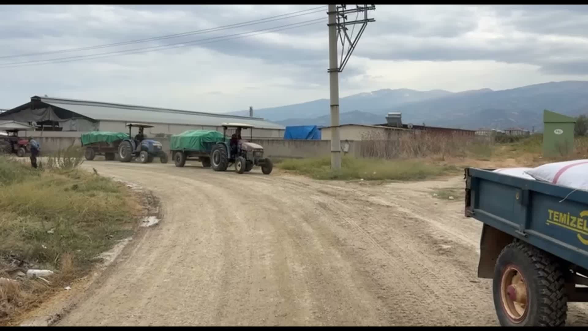Manisa'da üzüm üreticisi isyan etti: "Gençlere 'bu işi yapmayın' diyorlar"