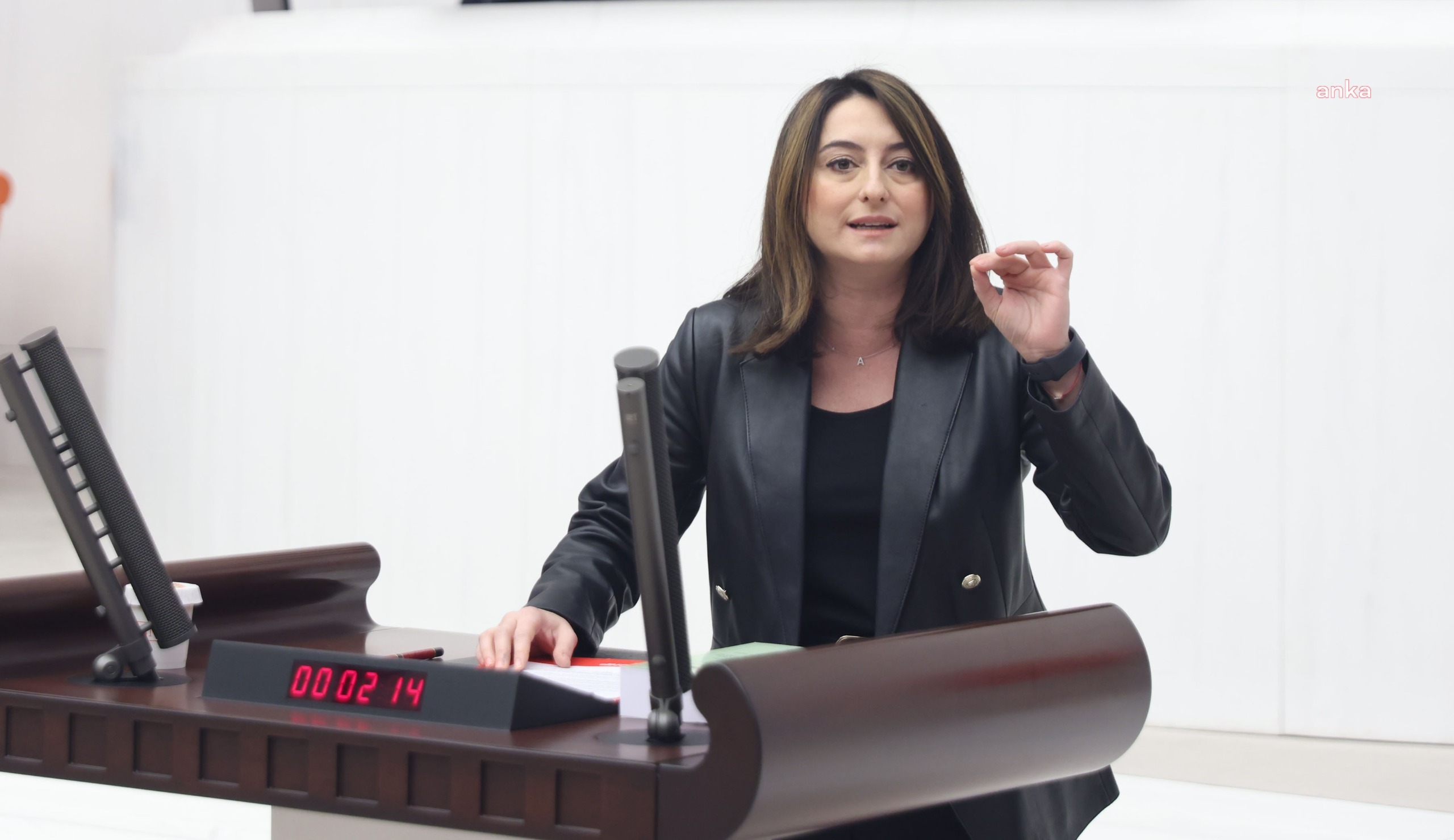 CHP'li Bankoğlu'ndan iktidara çağrı: Kadına yönelik şiddetle mücadeleyi gerçek bir bütçe önceliği haline getirin