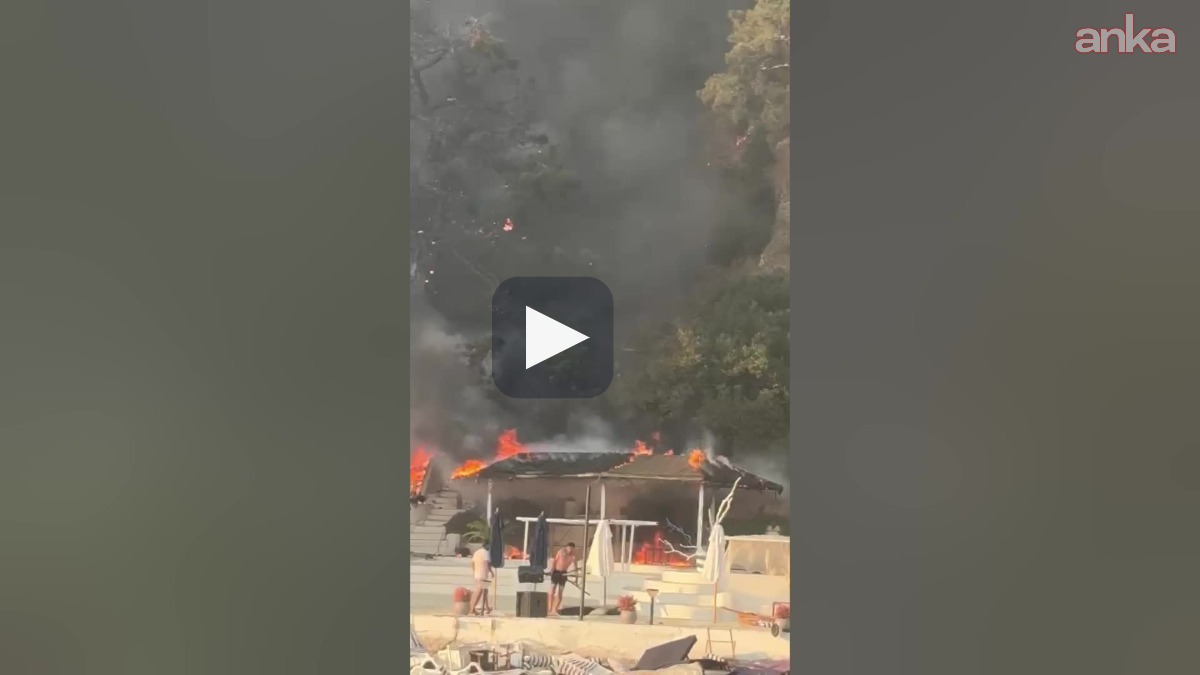 Büyükada'da orman yangını çıktı