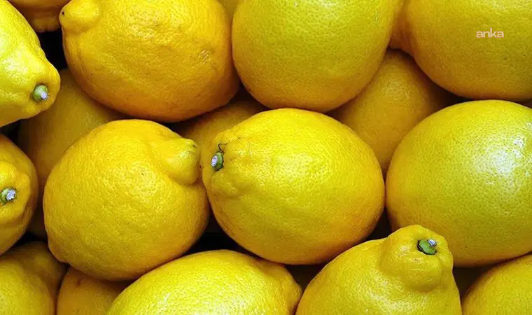TZOB: Ekim ayında limon üreticide 3,90 liraya, markette 42,87 liraya satıldı