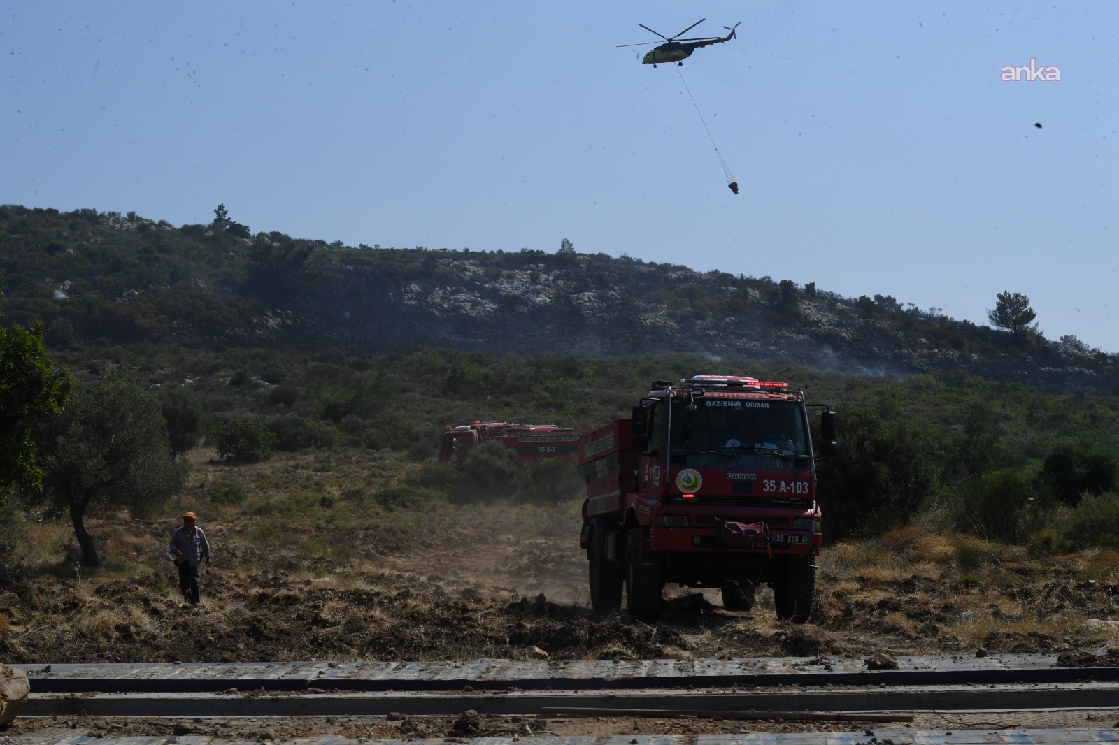İzmir Urla’da orman yangını