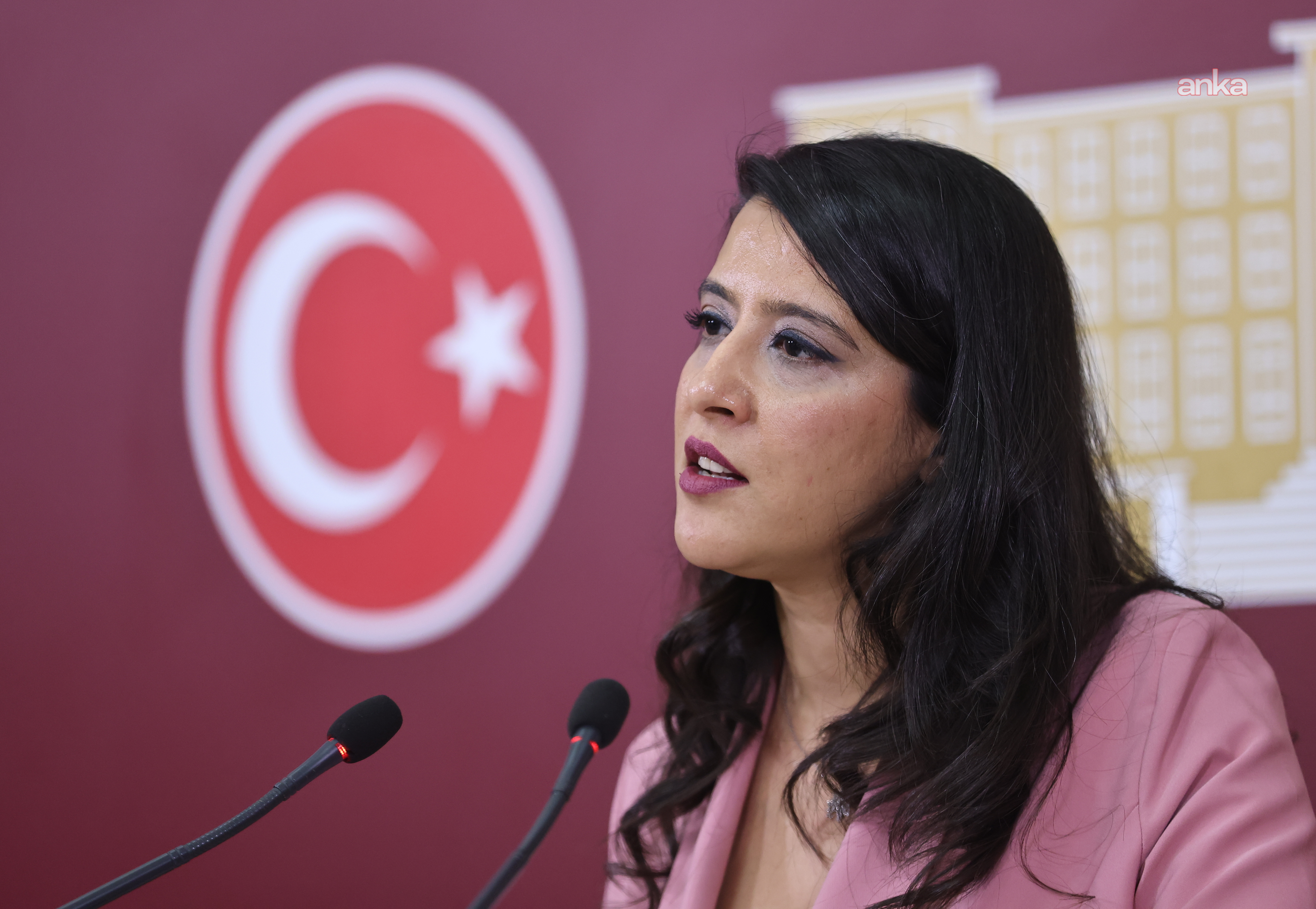 EMEP'li Karaca, LGBTİ derneklerine yönelik operasyonları TBMM gündemine taşıdı