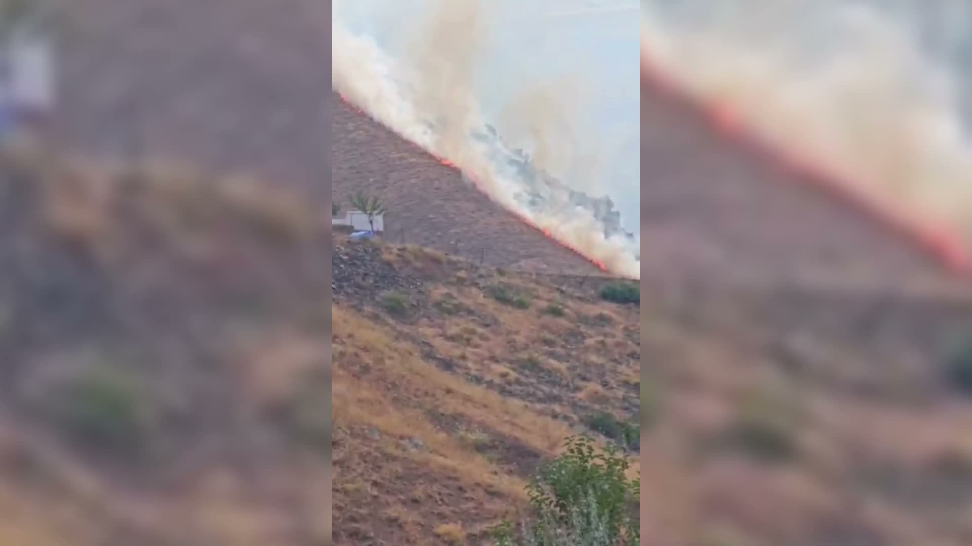 Palu’da dağlık alanda arazi yangını